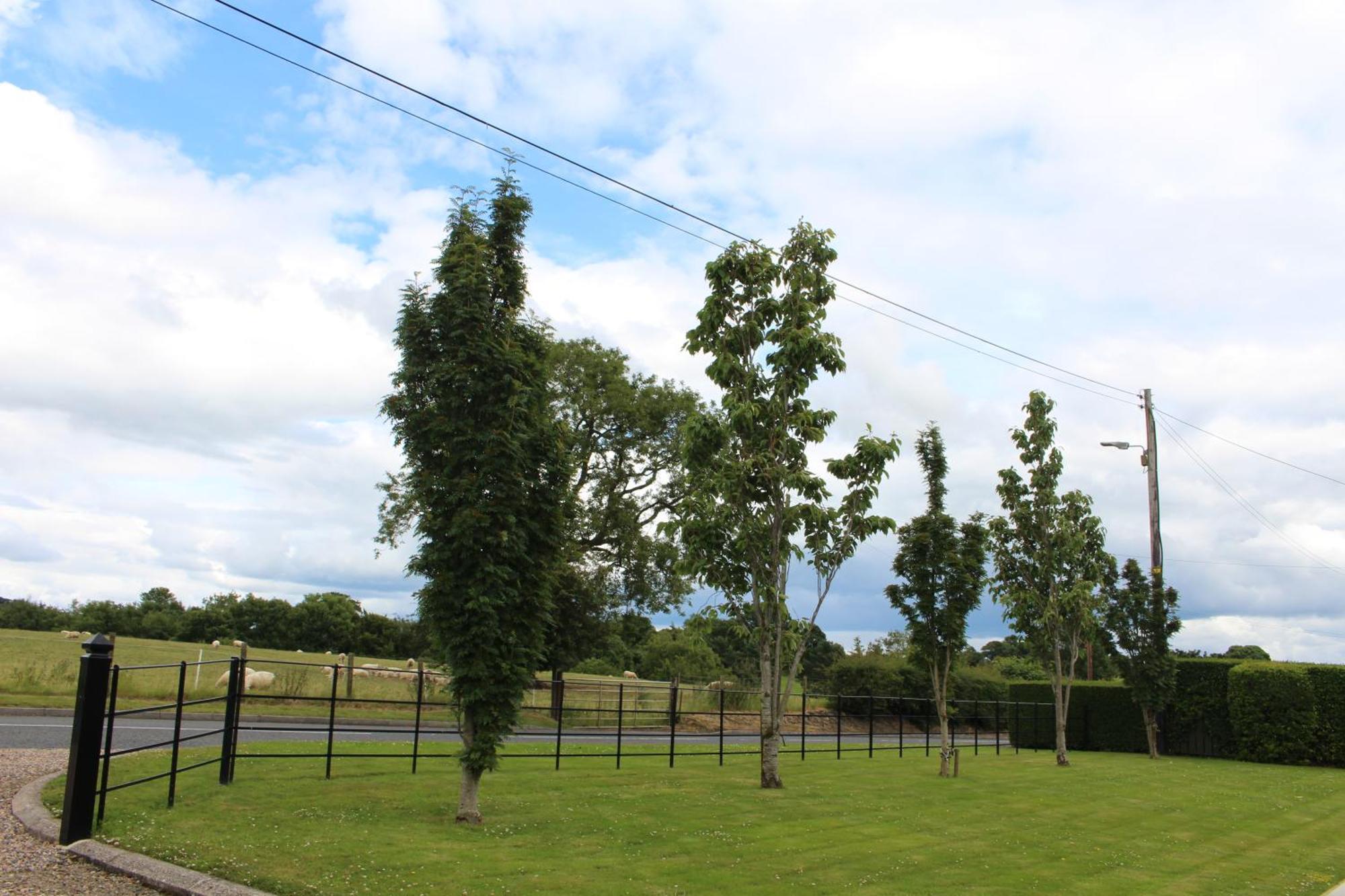 Dromore  Contemporary Countryside Home מראה חיצוני תמונה